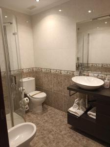 a bathroom with a toilet and a sink and a mirror at Apartamento San Pelayo in San Vicente de la Sonsierra