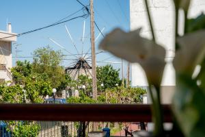 Ágios Geórgios SykoúsisにあるMills Residenceの観覧車の前の白い花 +2枚の写真