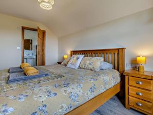 Painscastleにある5 Bed in Hay-on-Wye 78163のベッドルーム1室(ベッド1台、ドレッサー、ランプ2つ付)