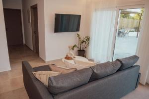 Μια τηλεόραση ή/και κέντρο ψυχαγωγίας στο Αngélique Pool garden apartment