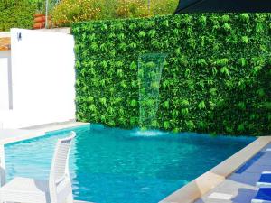 a pool with a green hedge with a chair in front of it at Sun Lovers Hostel in Albufeira