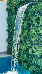 Gallery image of Sun Lovers Hostel in Albufeira