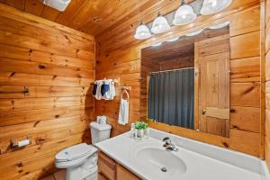 a bathroom with a toilet and a sink and a mirror at Blue Ridge Retreat in Pigeon Forge +42 photos