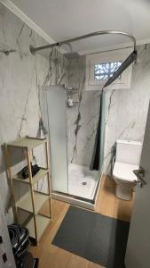 a bathroom with a shower with a toilet in it at Katerina s House 1 in Nydri