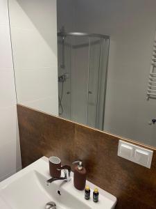 a bathroom with a sink and a mirror at GREY PEPPER with balcony in Siedlce