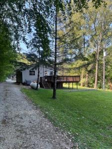 una casa in mezzo a un cortile erboso con un vialetto d'accesso di Bosco Bluff Cottage a Lansing