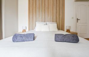 a large white bed with two pillows on it at Maison Cosy Campagne, Spacieuse, Terrasse in Le Plessis-Feu-Aussoux