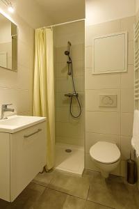 a bathroom with a shower and a toilet and a sink at Fontanières Charming studio on the edge of Lyon in La Mulatière