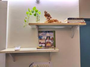 a shelf on a wall with books on it at Shared Bed Hostel in Patna