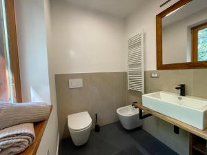 a bathroom with a sink and a toilet and a mirror at Studiò Le Bois in Cerise +1 photo