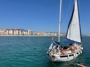 a sailboat in the water with a city in the background at El Tiburon in Playa de Gandia