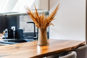 a vase filled with tall grass sitting on a kitchen counter at Chloe's Central Apartment in Durrës +26 photos