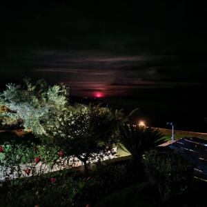 Afbeelding uit fotogalerij van Studios Fokies in Khóra Sfakíon