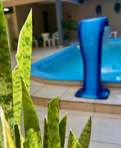 Bazén v ubytování Hotel Pousada Alagoana nebo v jeho okolí