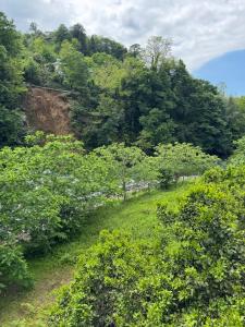 Příroda nedaleko prázdninového domu + 4 fotografie