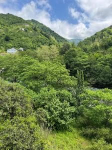 Příroda nedaleko prázdninového domu