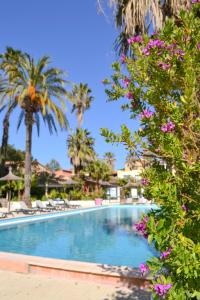 a swimming pool with palm trees and flowers at Très beau T2 - Emeraude 40 in Canet-en-Roussillon +5 photos