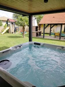 The swimming pool at or close to MeLuIs