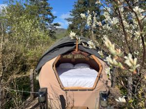 a tent in a field with a bed in it at Wigwam et Dôdome sous les étoiles in Champfromier