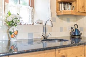a kitchen counter with a sink and a vase of flowers at Bwthyn-Betws in Dolbenmaen +22 photos