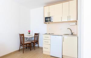 Kuchyň nebo kuchyňský kout v ubytování Amazing Apartment In Baska Voda