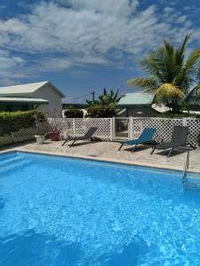 Πισίνα στο ή κοντά στο Bungalow charmant à Capesterre-Belle-Eau, 35 m², piscine