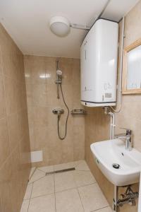 Vannituba majutusasutuses Komac Apartma & Glamping BLED