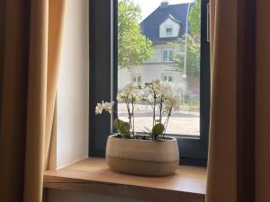 a window with a pot with flowers on a window sill at PAULINEN Residenz Komfortabel wohnen - Flexibel ankommen in Detmold