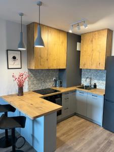 Kuchyň nebo kuchyňský kout v ubytování Sosnowe Apartamenty - Eco