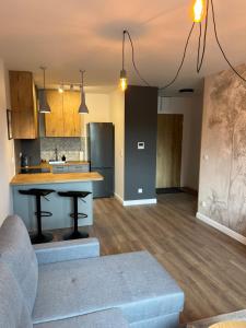 Kuchyň nebo kuchyňský kout v ubytování Sosnowe Apartamenty - Eco + 9 fotografií