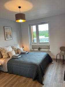 Postel nebo postele na pokoji v ubytování Sosnowe Apartamenty - Eco