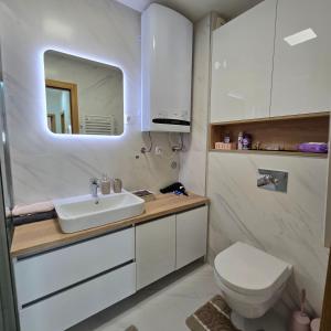 ポドゴリツァにあるViolet- City Kvart Luxury 2 Bedroomの洗面台、トイレ、鏡のあるバスルーム
