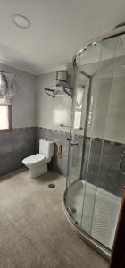 a bathroom with a toilet and a glass shower at Apartamento San Simón in Redondela +11 photos