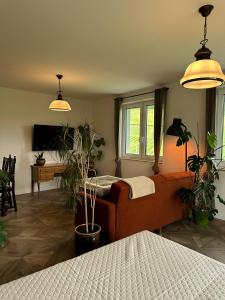 a bedroom with a bed and potted plants in it at Lawendowy Raj in Pilchowice