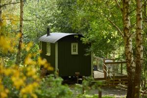 a green cabin in the middle of a forest at The Fish Hotel in Broadway