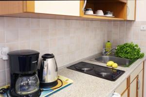 Kuchyň nebo kuchyňský kout v ubytování House Marić