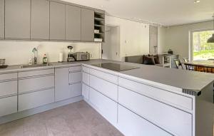 Nice Home In Halmstad With Wifi的厨房或小厨房