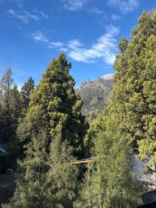 Природа в окрестностях дома для отпуска