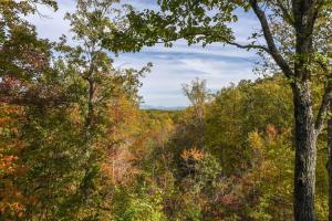une vue sur une forêt d'arbres à l'automne dans l'établissement View! Cozy, Private, Fireplace, Hot Tub Log Cabin, Honeymoon!, à Sevierville