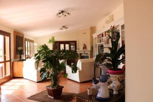 a living room filled with lots of plants at Villa Delle Palme Delfina in Trapani