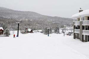 22#53 chemin du Hameau Studio trong mùa đông