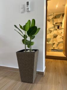 a plant in a vase sitting on a floor at Edem Haven Luxury Apartment in Skala Fourkas