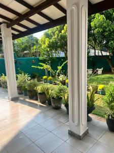 NikawatawanaにあるSemi luxury apartments in Sr Lankaの鉢植えの鉢植えのポーチ +4枚の写真