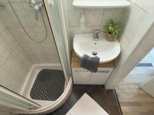 ニーデラウにあるLoge zur Wilden Auの洗面台とシャワー付きの小さなバスルーム +22枚の写真