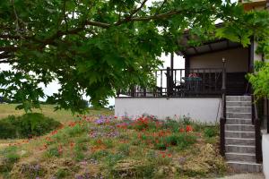 a field of flowers in front of a house at Villa Thanos in Samothraki +31 photos