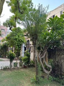 Κήπος έξω από το Jwala Niketan JAIPUR