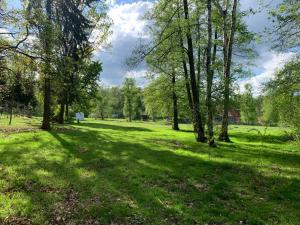 un prato con alberi sullo sfondo di Ferienzimmer Teiselsmühle Gehren Heideblick a Heideblick