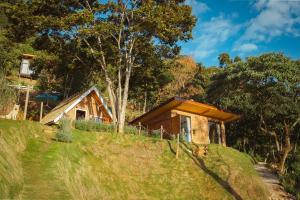 Naturlandskabet i nærheden af chaletet