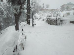 Fotografie z fotogalerie ubytování Deodar Hilltop Homestay v destinaci Chail