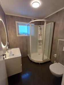 a bathroom with a shower and a sink and a toilet at Private 4 bedroom getaway in Lofoten in Vestvågøya